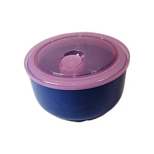 Room Essentials 2pc Food Storage Blue Stoneware Bowl Set 23oz Vented Pink Lid